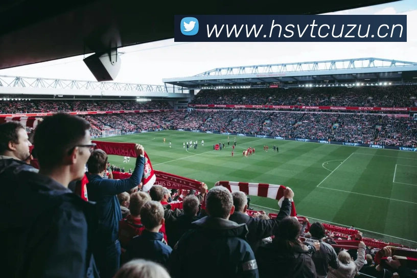 华会体育app官网发展历程